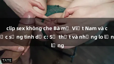 clip sex không che Bà mẹ Việt Nam và cuộc sống tình dục: Sự thật và những lo lắng